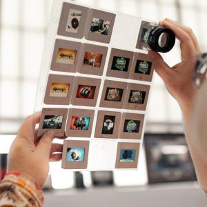 Lori Ann Lindberg examining slides