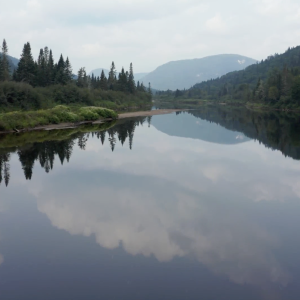 river with trees and mountain