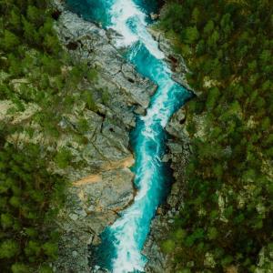 Aerial shot of a river rushing through trees