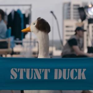 Aflac Stunt Duck shown in a directors chair.