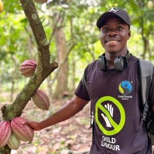 Felix, a cocoa farmer in Ghana, takes viewers to his farm and shows how to break open a cocoa pod to reveal the beans, which are encased in a sweet fruit.