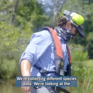 Worker collecting data on river