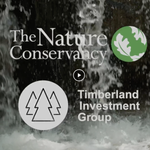 Video featuring TNC's Matt Arnold and TIG's Gerrity Lansing
