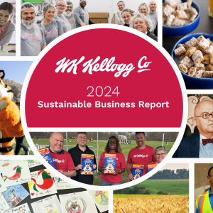 Sustainable Business Report Cover 
