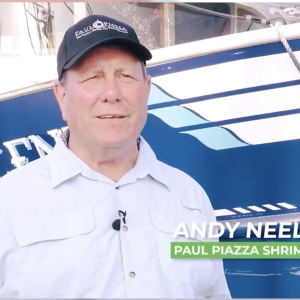 Andy Neely of Paul Piazza Shrimp