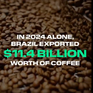 Close-up of coffee beans with on-screen text reading, “In 2024 alone, Brazil exported $11.4 billion worth of coffee.”