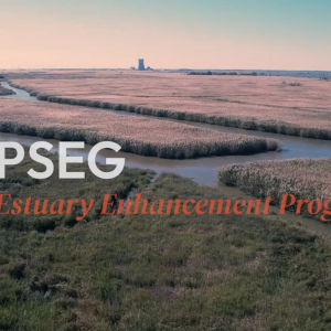 PSEG Estuary Enhancement Program