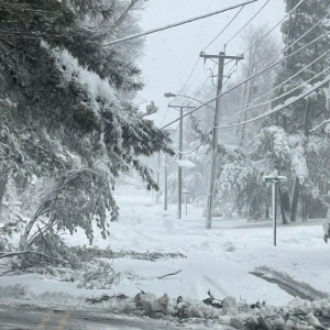 A snowy street with downed trees