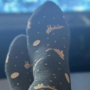 These Socks that Protect Wolves are cozy and support NPCA’s mission!  