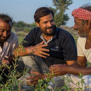 three people crouching next to a plant outside