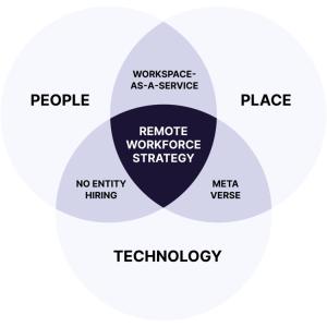 Diagram showing emerging workforce strategies