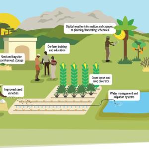 Conceptual diagram of on-farm adaptation strategies. Source: TNC 