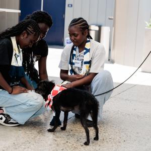 Three young participants sit on the floor petting a small dog wearing a red bandana on a leash.