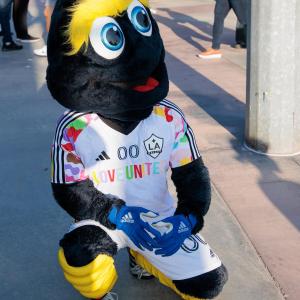 LA Galaxy mascot Cozmo wore his Pride Night jersey to celebrate Pride Month.