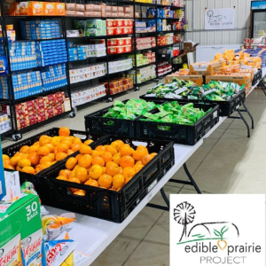 A store with many boxes of oranges