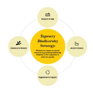 info graphic: "Tapestry biodiversity strategy" at the center, four circles around it each with a different subject: "Measure & map, avoid & reduce, regenerate & support, and conserve & restore"