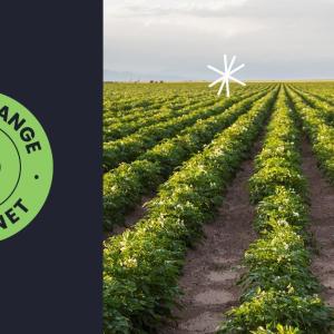 Albertsons' Recipe for Change Planet logo next to a picture of rows of crops.