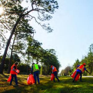 People cleaning up a grassy area