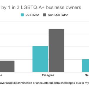 Chart showing discrimination faced by 1 in 3 LGBTQIA + business owners.