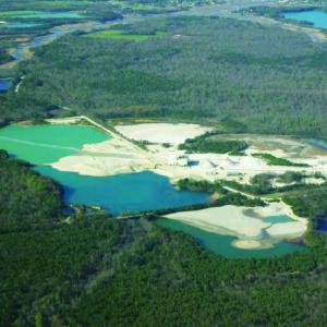 Dividing Creek Plant