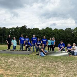 A team of people helping to build raised beds in a field for planting fruit and veg