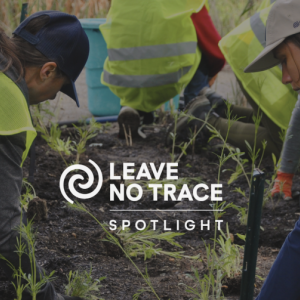 People wearing hi-vis vests planting plants