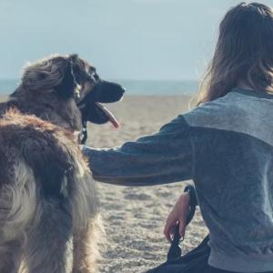 Person with dog on a beach