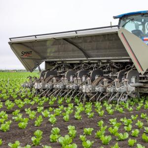 A tractor in a crop field