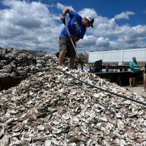 A person stood on top of a pile of shells