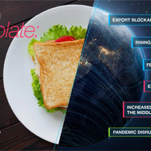 Decoding the plate - infographic showing how food prices are being affected