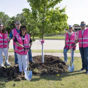 People in pink vests planting a tree