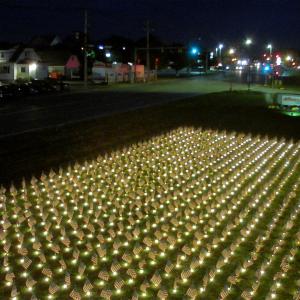Field of Flags at night