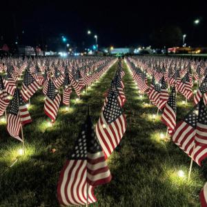 Field of Flags at night