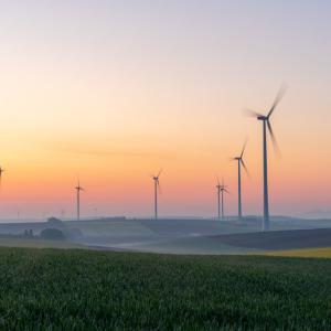 Wind turbines in a field with a sunset in the background