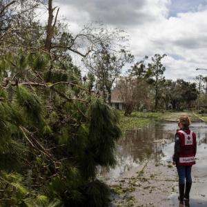 Red Cross worker stands among fallen trees on a flooded suburban street