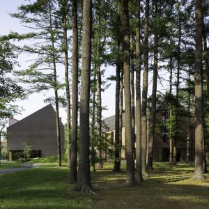 Bowdoin College - Mills Hall and Gibbons Center behind pine groves