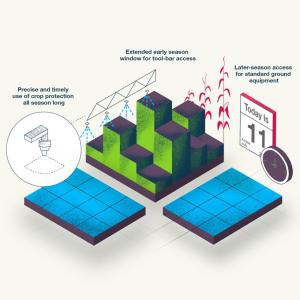 infographic of corn production