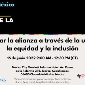 LGBtQ+ Cumbre de la unidad infogaphic