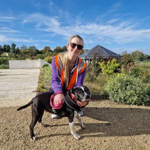 Volunteering at DSPCA