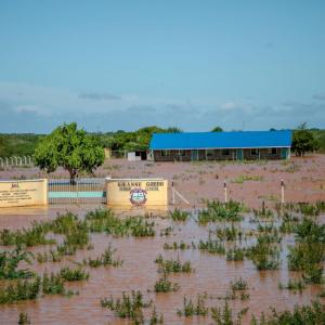 Photo by Abel Gichuru