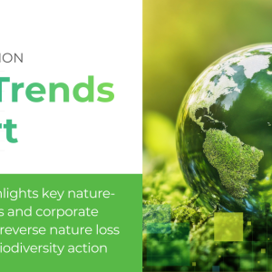 Tandem Global Trends Report