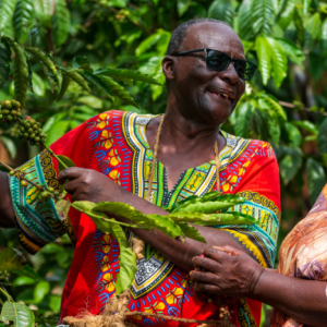2 people laughing while picking from a tree