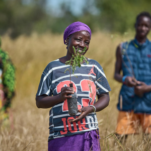 locals with baby trees