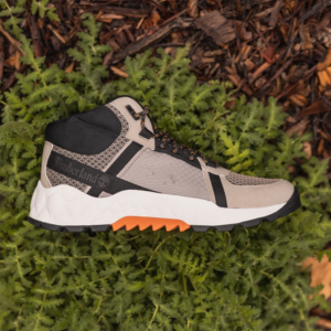 A shoe on the ground