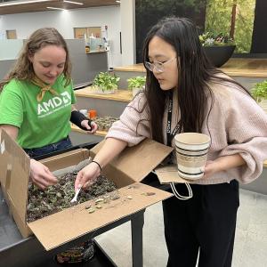Two people working with soil