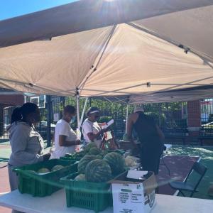 People under a canopy, shopping at a farmers market