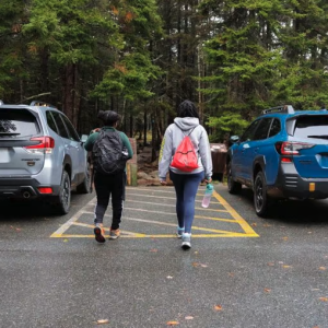 Two people walking between two Subaru cars