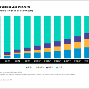 Display 1 - Battery Electric Vehicles Lead the Charge