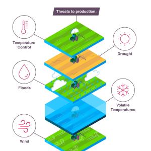 Climate Change and Agriculture infographic