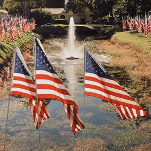 American flags surrounding a fountain